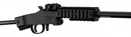 Photo CR395-7 Carabine pliante Little Badger Takedown Xtreme Rifle 22LR - Chiappa Firearms