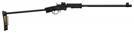 Photo CR395-8 Little Badger Takedown Xtreme Rifle 22LR Folding Rifle - Chiappa Firearms