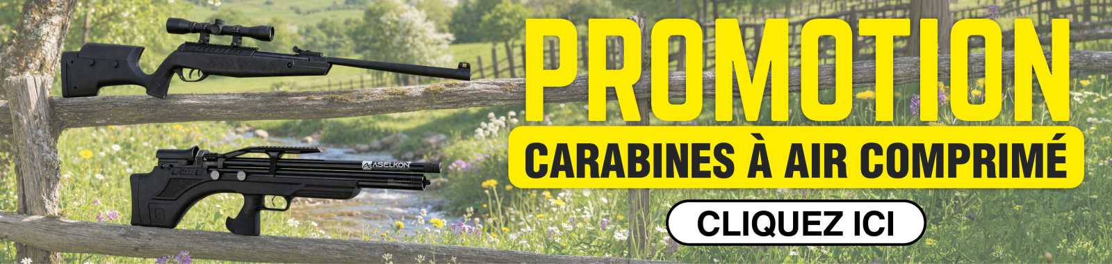 Promo carabines à air comprimé