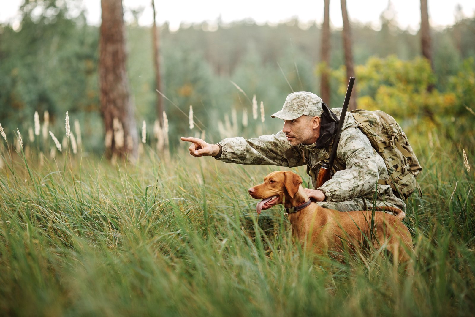 Hunting in front of you