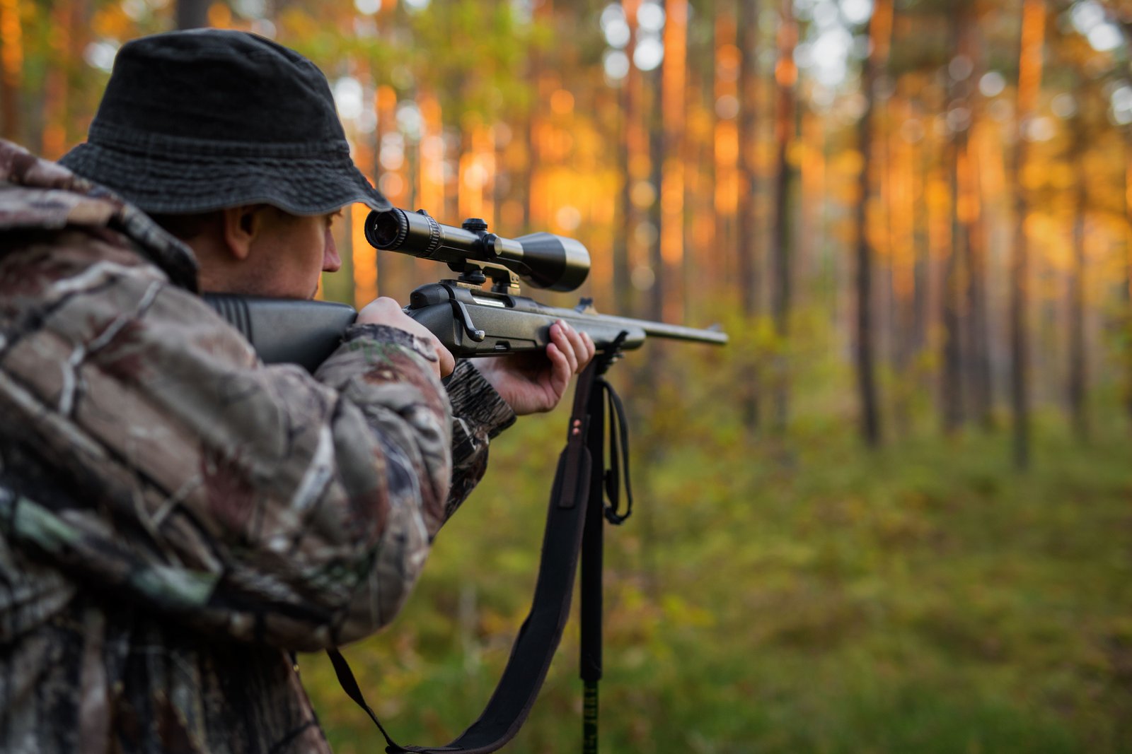 Choix et techniques pour tirer au point rouge. - CHASSEUR DE