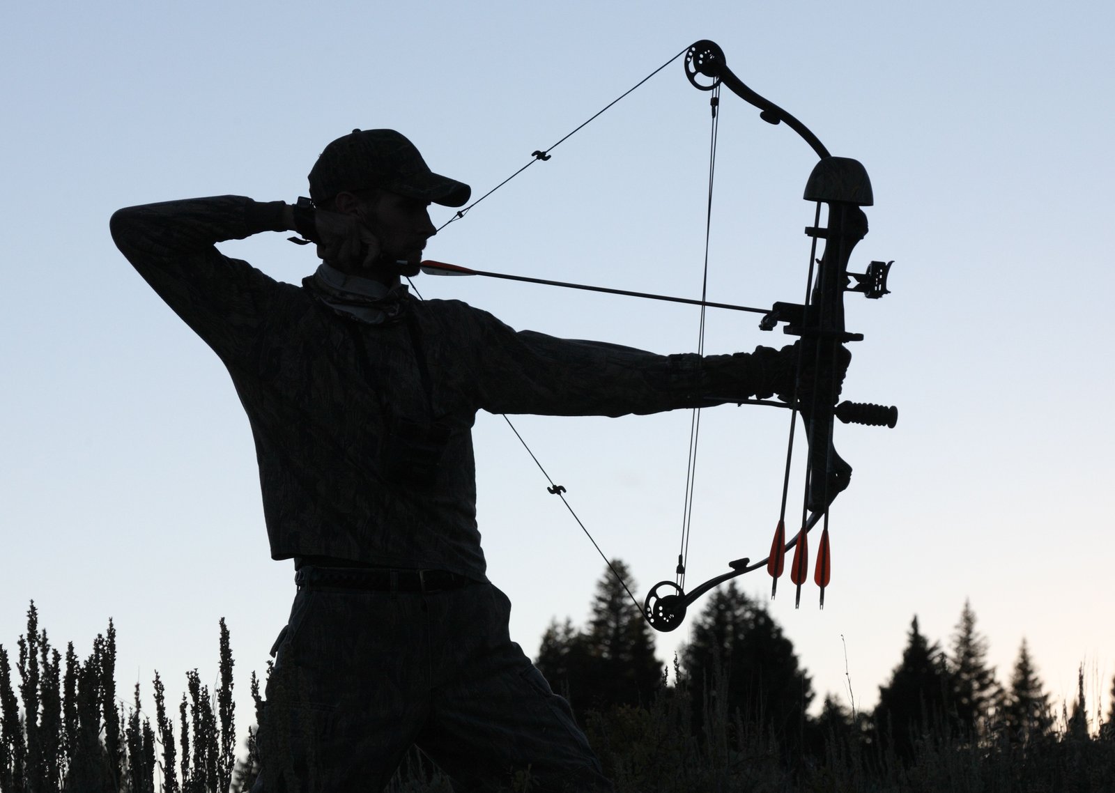 Guide pratique de la chasse à l´arc