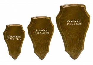 Badge for trophy deer or deer