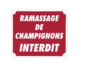 Panneau ''Ramassage de champignons interdit'' 30 ...