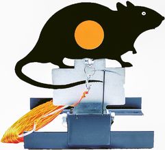 Rat dynamic target - GAMO