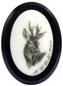 Ivory or silver aspect deer horns