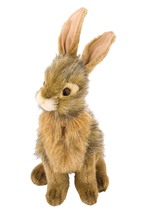 Hare Plush