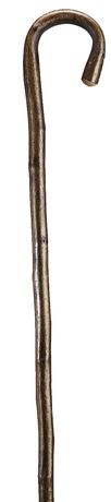 Hazel walking stick - Gastrock