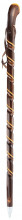 Chestnut walking stick - Gastrock