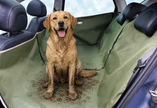 Rear seat and door protection