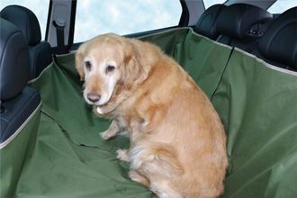 Rear seat and door protection