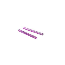 Waldo Dynamics ressorts nozzle Ion AAP-01/Glock