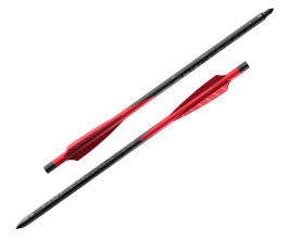 Photo AJ778-02.png BARNETT HyperBolt C10 10'' x6 Demun