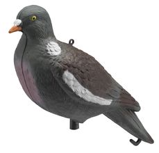 Caller pigeon