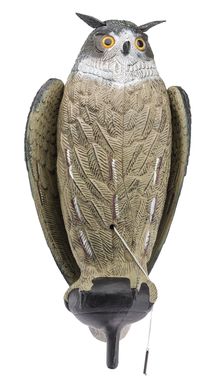 Calling Grand Duke flying wings