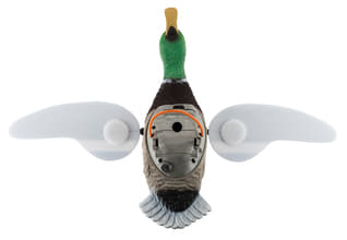 Photo AP138-6-Appelant électronique canard ailes tournantes
