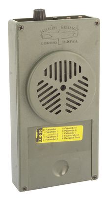 Acoustic call special pigeon roucouleur