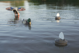 Photo AP896-02.jpg MOJO Flock A Flicker Lure 2 x4