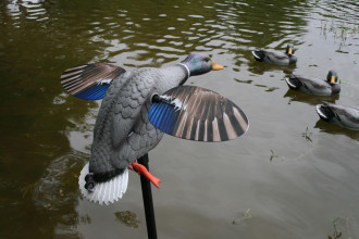 Photo AP897-01.jpg MOJO King Mallard Elite Series – Canard tournant avec batterie Li-ion 6V