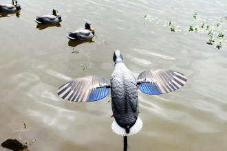 Photo AP897-02.jpg MOJO King Mallard Elite Series – Canard tournant avec batterie Li-ion 6V