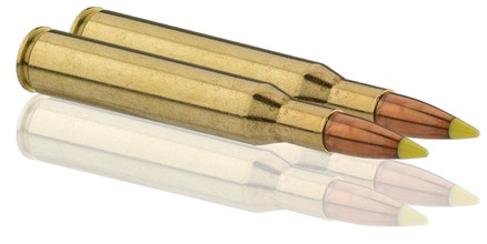 Sologne .270 Win Nosler Ballistic Tip 130 gr / 8,4 g