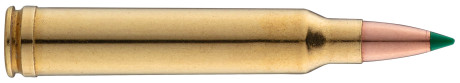 Photo BG3000-02.jpg Sologne .300 Win. Mag. Nosler Ballistic Tip 150 gr / 9,7 g