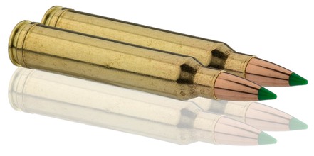 Sologne .300 Win. Mag. Nosler Ballistic Tip 150 ...