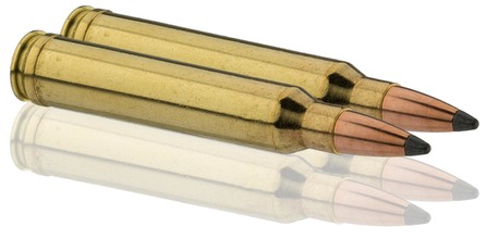 Sologne .300 Win. Mag. Nosler Partition