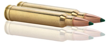 Photo BG3004-TAB.jpg 20 cartouches Sologne .300 WM balle GPA² 168 gr / 10,9 g