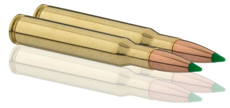 Sologne .30-06 Spring. Ballistic Tip 180 gr / 11,7 g