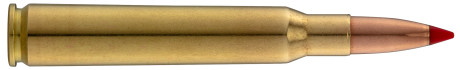 Photo BG7641-02.jpg Sologne 7x64 Nosler Ballistic Tip 150 gr / 9,7 g