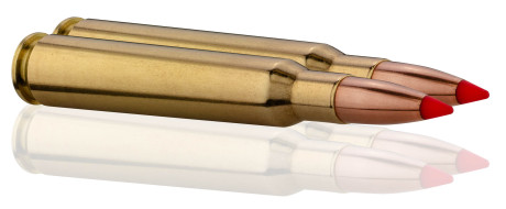 Photo BG7641-TAB.jpg Sologne 7x64 Nosler Ballistic Tip 150 gr / 9,7 g