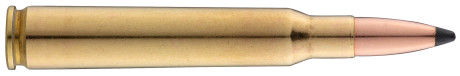 Photo BG7642-02.jpg Sologne 7x64 Nosler Partition 160 gr / 10,4 g