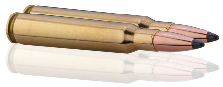 Photo BG7642-TAB.jpg Sologne 7x64 Nosler Partition 160 gr / 10,4 g