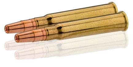 Sologne 8x57 JRS GPA 196 gr / 12.7 g