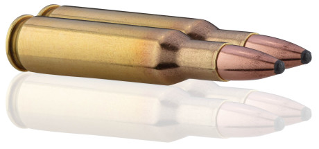 Photo BR222-04.jpg Remington .222 Remington Core-Lokt 50 gr / 3,2 g