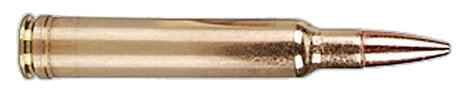 Photo BS300W-Munition grande chasse Sauvestre - cal. .300 Weatherby