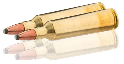 Photo BW2252-3.jpg WINCH CART C/22-250REM 55GR PSP BTE/20