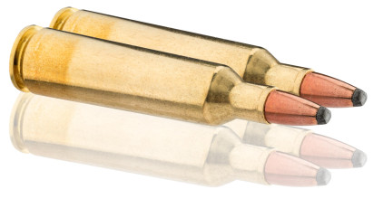 Photo BW2252-TAB.jpg WINCH CART C/22-250REM 55GR PSP BTE/20