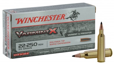 Large hunting ammunition Winchester Cal. 22-250 REM