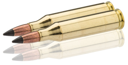 Photo BW2439-2.jpg WINCH CART,243Win,EXTREME POINT,95gr, BTE/20