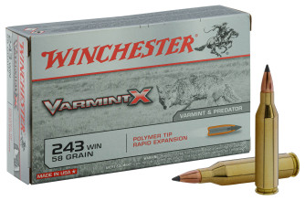 Winchester Varmint-X .243 Winchester 95 gr / 5.8 g