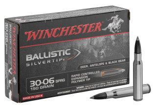 Winchester Ballistic Silvertip .30-06 Springfield ...