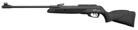 Carabine Gamo Big Cat 1000 E-IGT Cal. 4.5 mm