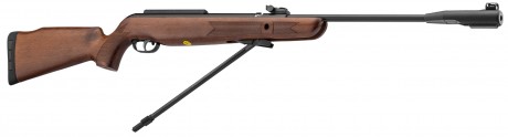 Photo CA151-4 Gamo CFX Royal carbine with fixed barrel cal. 4.5 mm