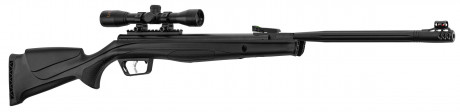 Carabine à air Beeman crosse composite + Lunette ...