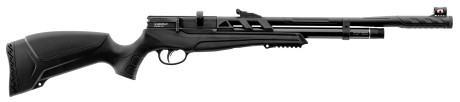 Photo CA370-04.jpg Beeman PCP Raider 1320 Rifle