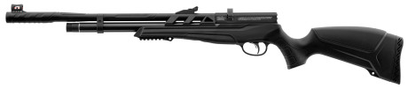 Photo CA370-05.jpg Beeman PCP Raider 1320 Rifle