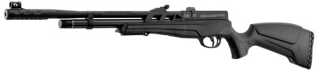 Photo CA370-06.jpg Beeman PCP Raider 1320 Rifle