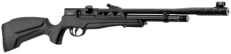 Beeman Carabine PCP Raider 1320